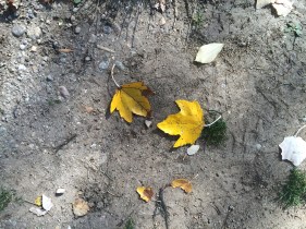 image-20-10-15-02-51-3